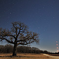 Blue Night