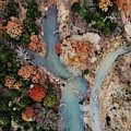 Autumn at Black Creek 