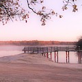 Misty Morning at Clear Lake